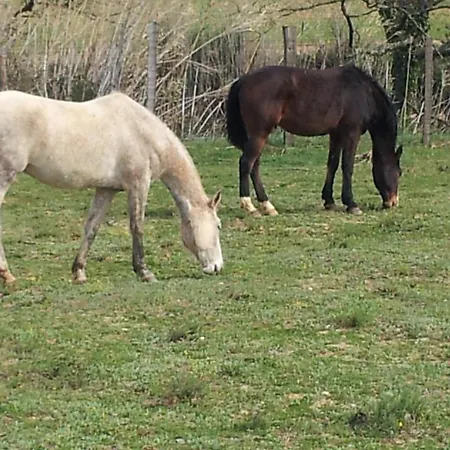 Mas D'en Roca Couette-café